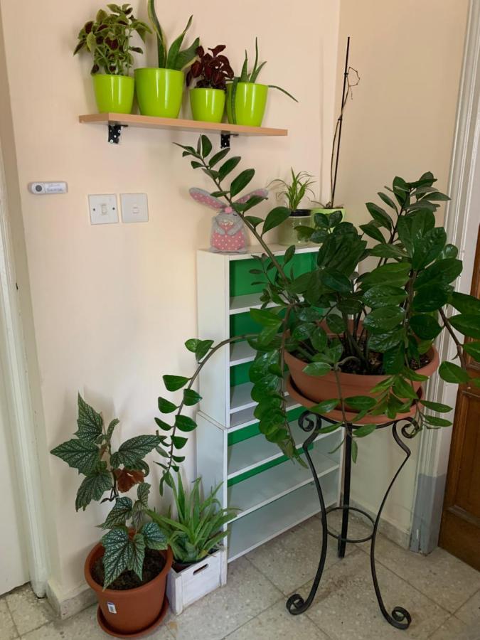 Mini Penthouse Larnaca Dış mekan fotoğraf